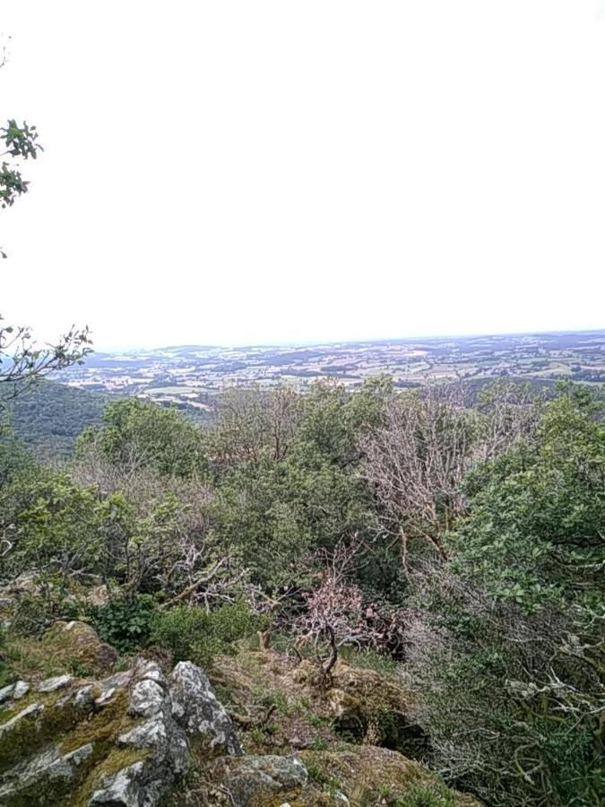 Camping La Forêt du Morvan Larochemillay Exterior foto