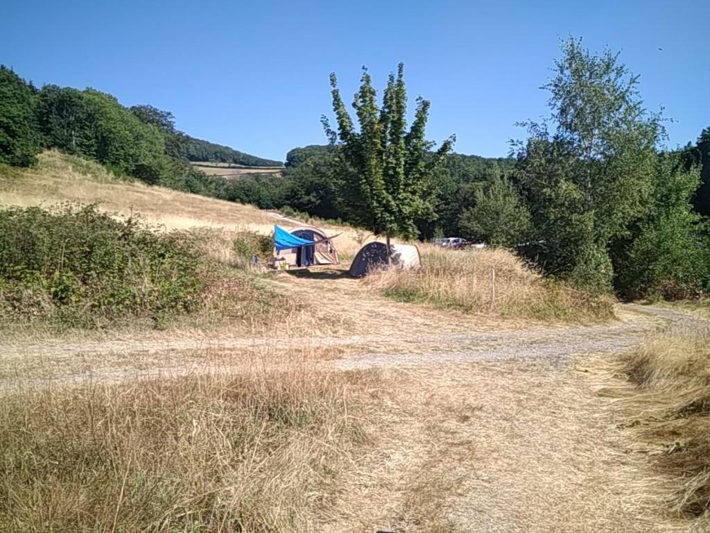 Camping La Forêt du Morvan Larochemillay Exterior foto